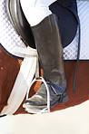 Closeup on horse tack