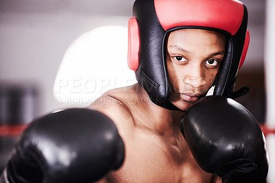 Buy stock photo Man, portrait and gloves for boxing fitness or sports training or competition, athlete fighter or safety gear. Black person, fist and exercise workout or punch practice or challenge, battle in mma