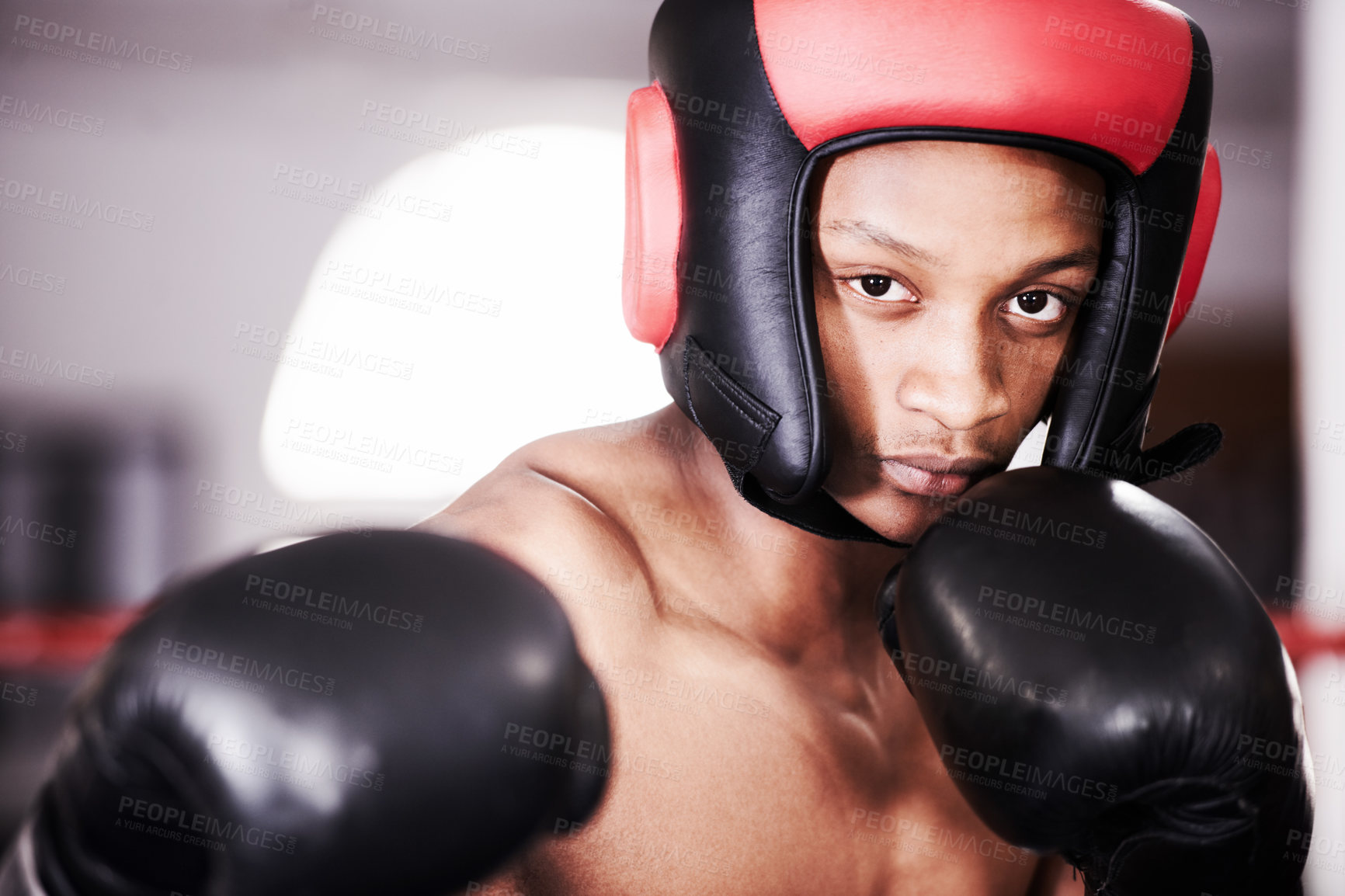 Buy stock photo Man, portrait and gloves for boxing fitness or sports training or competition, athlete fighter or safety gear. Black person, fist and exercise workout or punch practice or challenge, battle in mma
