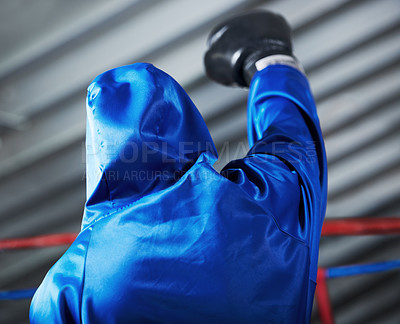 Buy stock photo Rear view of a boxer with his fist in the air