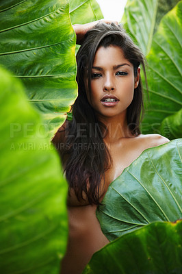 Buy stock photo Gorgeous young ethnic woman hiding her topless body behind a green leaf