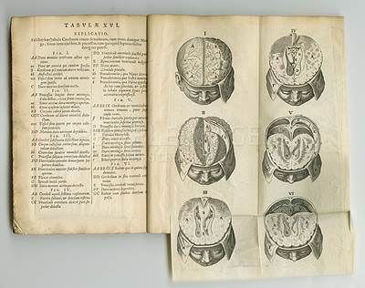 Buy stock photo Vintage, brain and antique medical book on anatomy bones, medicine treatment research or head trauma support. Latin journal, healthcare or skull diagram sketch for historical neurosurgery guide