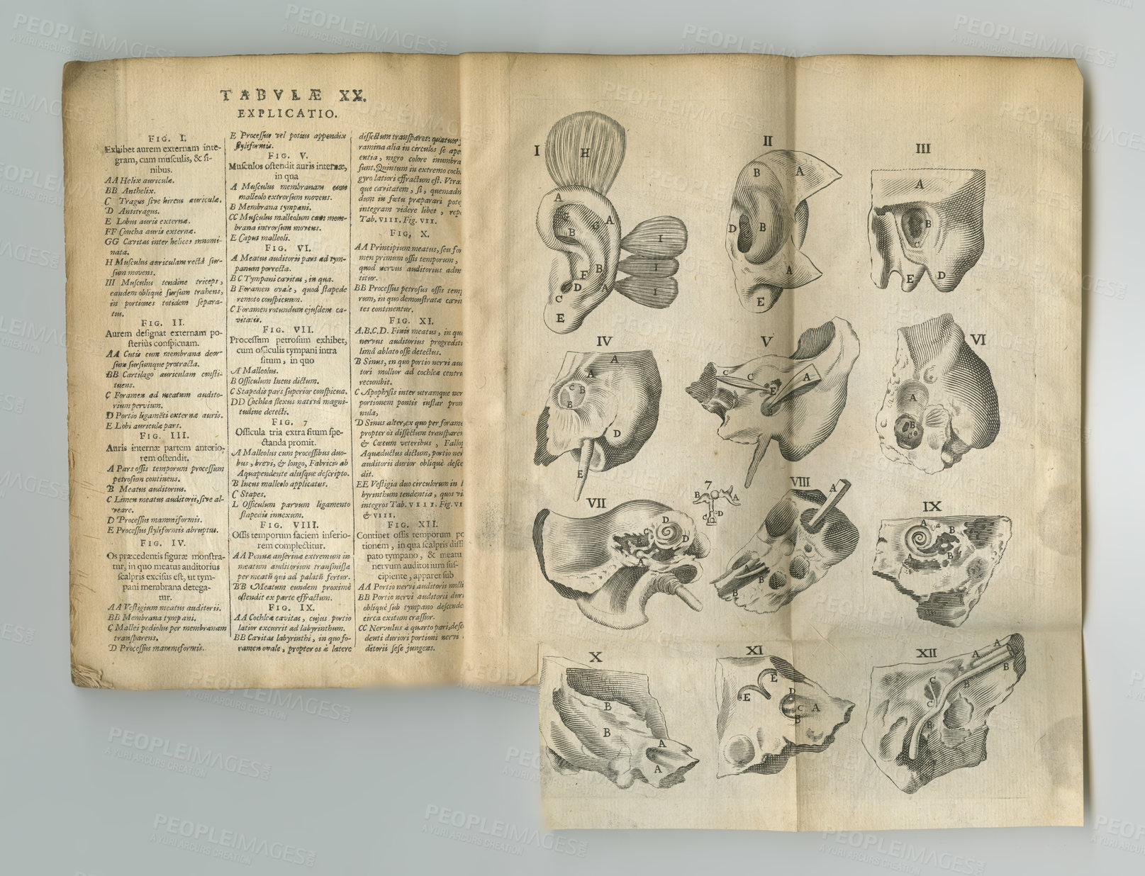 Buy stock photo An old medical book with its pages on display