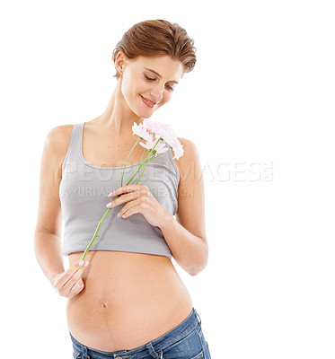 Buy stock photo Flowers, studio and pregnant woman with pregnancy skincare, cellulite and beauty cosmetics mockup. Healthcare, wellness and mother with flower for aesthetic, floral or natural product advertising