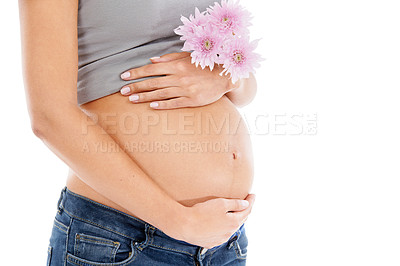 Buy stock photo Pregnant, flower and woman in studio for wellness, health and organic skincare on white background. Daisy, pregnancy and pregnant woman hand on belly for care, beauty and product in nature on mockup