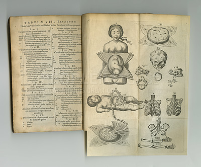 Buy stock photo Antique medical book, sketch and paper drawing, human body graphic or reference page explain anatomy. Latin language, journal notes and vintage skeleton diagram for rustic education or medicine info
