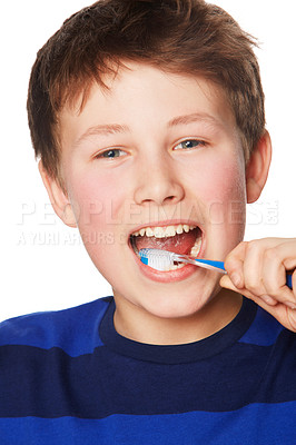 Buy stock photo Portrait, smile and child brushing teeth in studio isolated on a white background. Face, boy and kid with tooth brush for oral health, hygiene and dental wellness, fresh breath and cleaning gums.