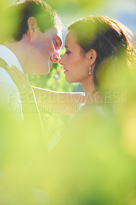 Buy stock photo A bride and groom kissing in a vineyard