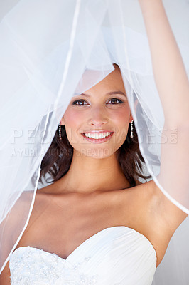 Buy stock photo A beautiful young bride peeking out from underneath her veil