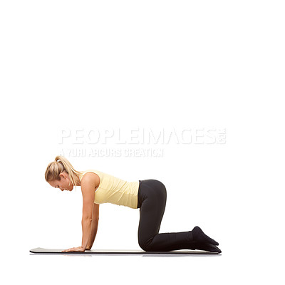 Buy stock photo Woman, yoga and mat in studio for cat, pilates or workout for healthy body, wellness and core muscle. Person, exercise and fitness on floor for abdomen health on mockup space and white background