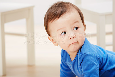 Buy stock photo Cute, crawling and curious with baby on floor for child development, learning and youth. Young, explore and adorable with infant kid on ground of family home for growth, progress and first steps