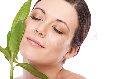 Buy stock photo Leaf, skincare and woman in studio for makeup, wellness and eco friendly cosmetics on white background. Plant, beauty and face of female model with natural dermatology, treatment or skin detox shine