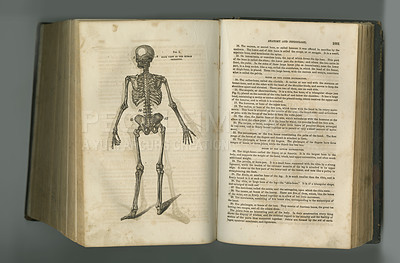Buy stock photo Old book, vintage and anatomy of human skeleton or body parts in literature, manuscript or ancient scripture against a studio background. History novel, journal or research in study of bone structure