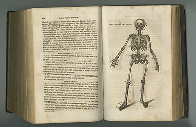 Buy stock photo Old book, vintage and anatomy of skeleton bones or parts in literature, manuscript or ancient scripture against a studio background. History novel, journal or text in study of the human body