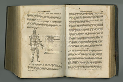 Buy stock photo Old book, vintage and anatomy of human body, veins or muscles in literature, manuscript or ancient scripture against a studio background. History novel, journal or illustration of study or research