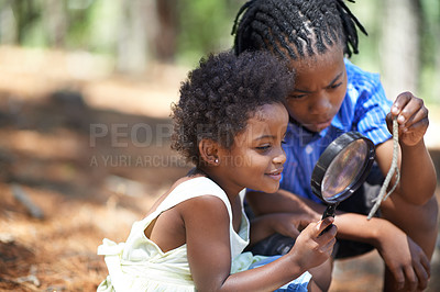 Buy stock photo Children, siblings and magnifying glass in a forest for branch, inspection or discovery in nature together. Black family, kids and magnifier in park for adventure, learning or discovery, games or fun