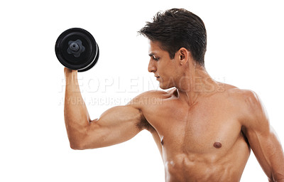 Buy stock photo Man, dumbbell and workout in studio for fitness, wellness and healthy body with exercise or training. Person, athlete or physical activity for muscles, bicep and shirtless on white background for abs