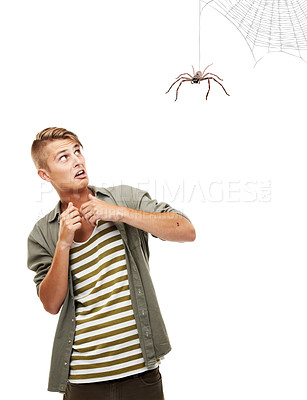 Buy stock photo Spooky, spider and man with fear or scared in studio, white background or mockup with horror. Scary, emoji and person afraid of danger with terror and anxiety for Halloween surprise in mock up space