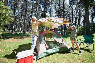 Buy stock photo Children, tent and team camping in forest for shelter, cover or insurance together on the grass in nature. Happy kids in teamwork setting up tents for camp adventure or holiday vacation in the woods