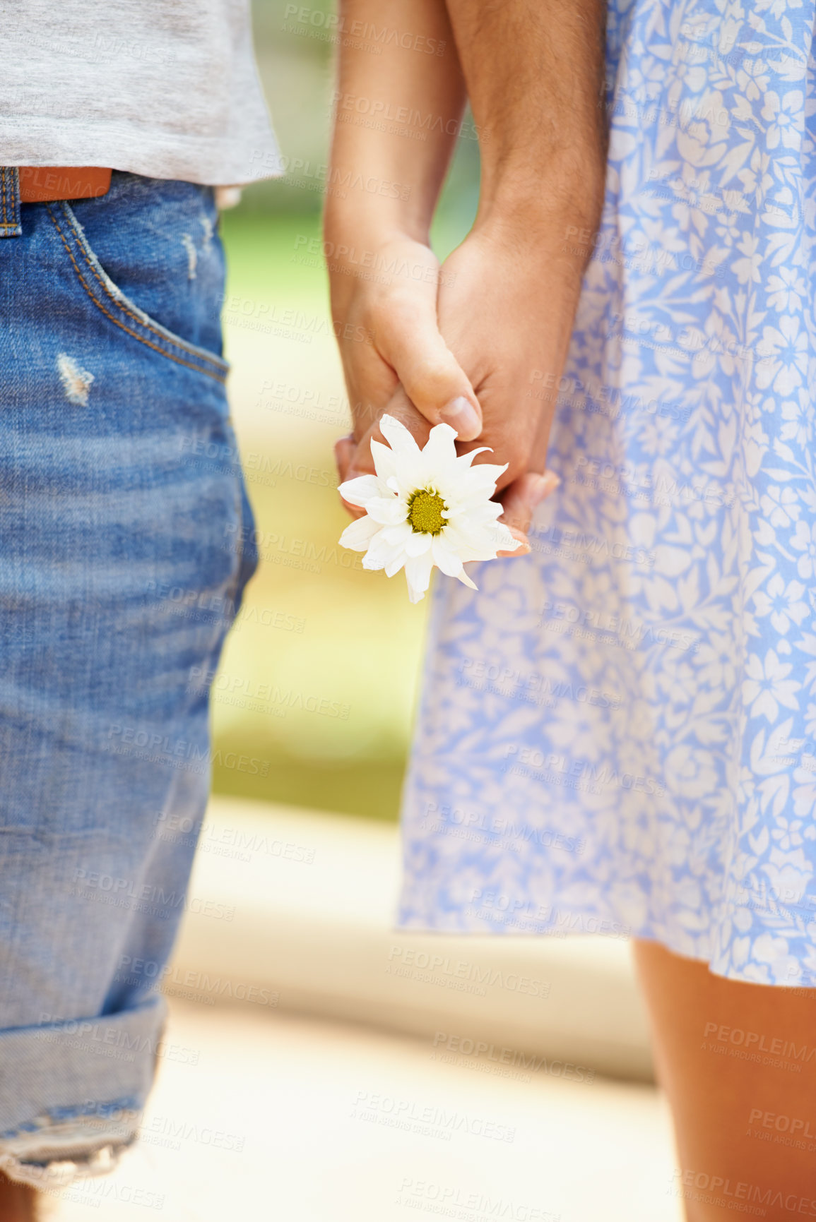 Buy stock photo Holding hands, flower or closeup of couple on outdoor date for support, care or love in nature together. Walking, romantic man or woman with pride on holiday vacation for fun bond, travel or wellness