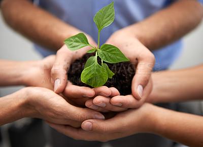 Buy stock photo Closeup, group and hands of people, plants and sustainability for support, hope and earth day. Teamwork, trust and growth of leaf in soil for green future, collaboration and accountability to recycle