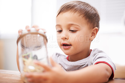 Buy stock photo Child, toys and jar for playing for development, growth curiosity and young boy. Kid, animals and game or learning kindergarten for teaching discovery or creativity games, coordination or skill