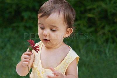 Buy stock photo A sweet baby girl looking at a flower