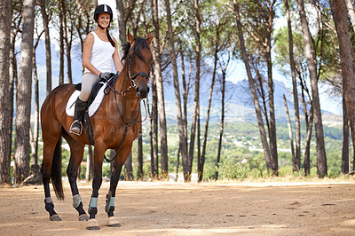 Buy stock photo Portrait, horse riding or equestrian in countryside or nature with rider or jockey for recreation or adventure. Smile, pet or happy woman with an animal for training, exercise or wellness in forest