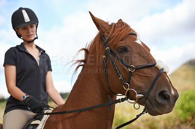 Buy stock photo Equestrian, horse and woman riding in nature on adventure and journey in countryside. Ranch, animal and rider outdoor with hobby, sport or travel with pet on farm trail or girl in summer on blue sky