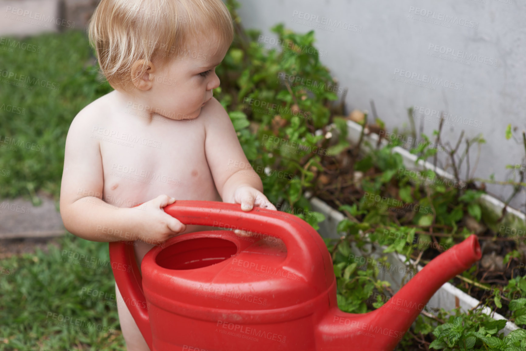 Buy stock photo Kid, backyard and boy with a water can, nature and playing with happiness, learning and summer. Grass, child development and baby with a toy, environment and relaxing with break, garden and growth