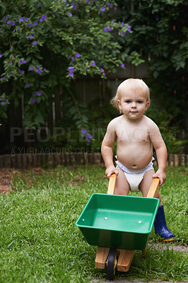 Buy stock photo Portrait, boy and child with a wheelbarrow, garden and nature with grass, playing and fun. Summer, backyard and kid with equipment, child development and countryside with plants, growth and happiness