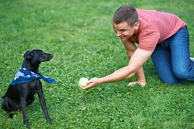 Buy stock photo Man, dog and play ball on grass field for bonding connection, outdoor park for sports training. Male person, pet animal and fun equipment for catch throw in environment for love, care or friendship