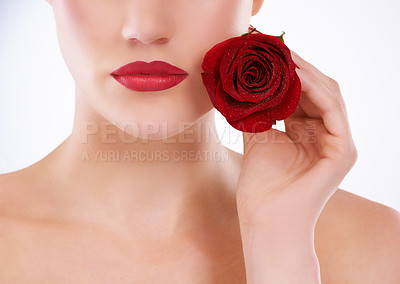 Buy stock photo Cropped studio shot of a woman holding a rose next to the lower half of her face