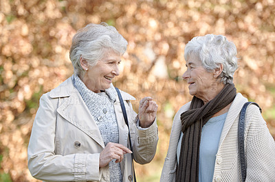 Buy stock photo Senior women, happy and conversation in park by autumn leaves, together and bonding on retirement in outdoor. Elderly friends, smile or communication on vacation in england, care or social in nature