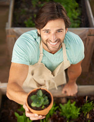 Buy stock photo Man, smile and plant from above for gift, appreciation or sale at store from high angle. Male gardener, happy and holding greenery in pot for decoration, growth or cultivation in nursery shop