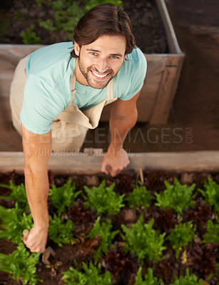 Buy stock photo Man, smile and garden with plants in greenhouse for growth, development and sustainability from high angle. Male person, happy and greenery in nursery for hobby, recreation or agriculture work