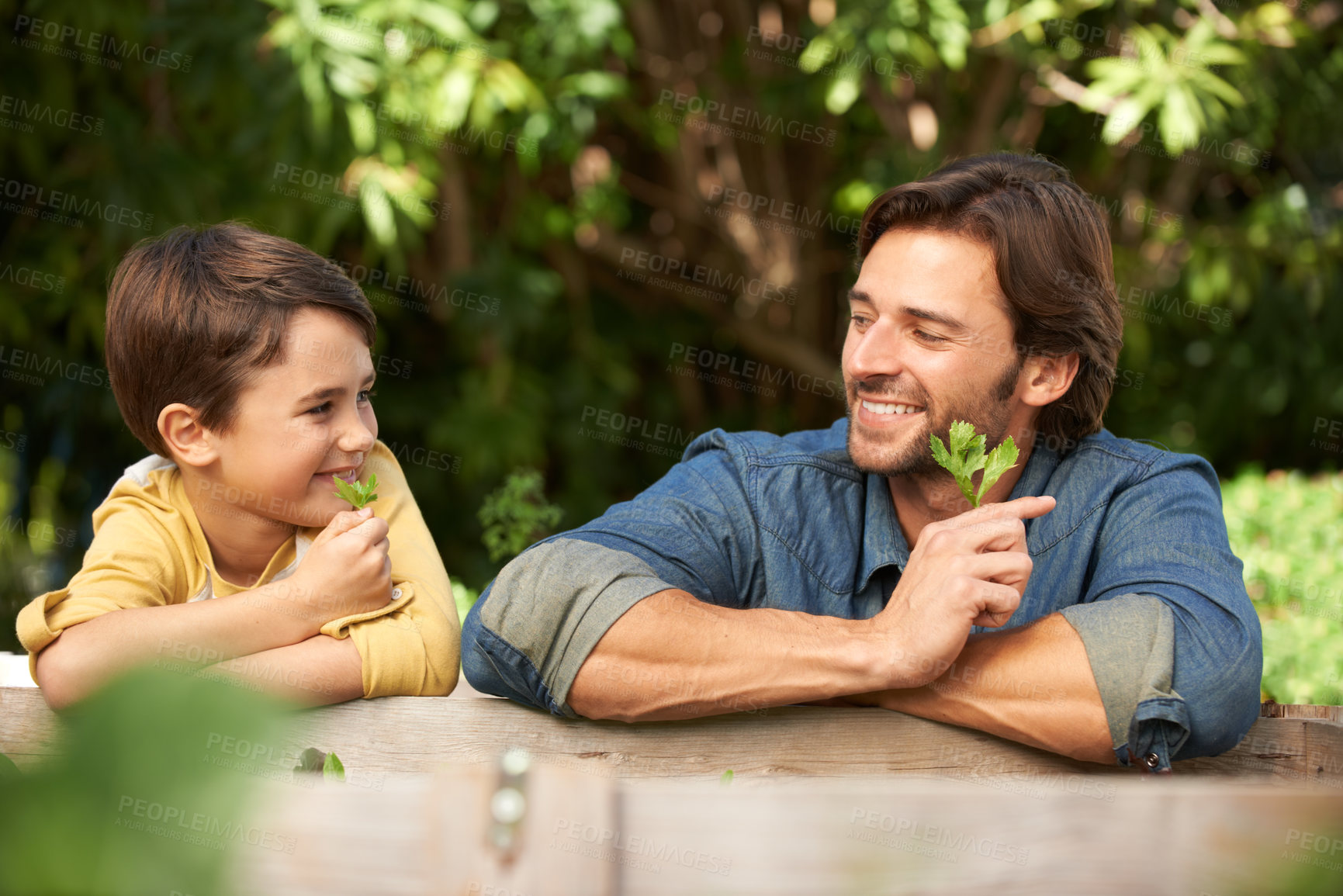 Buy stock photo Father, child and together in garden with leaves, plants and happy environment in backyard. Dad, son and smiling outdoors in nature, gardening and agriculture for sustainability and growth in States