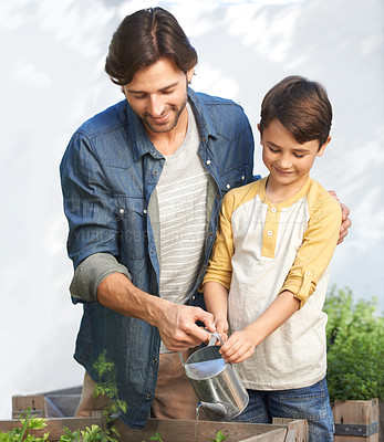 Buy stock photo Dad, boy and greenhouse with water for plants, vegetation and agriculture for family business. Father, son and teach in planthouse to grow organic vegetables to sell, sustainability and gardening