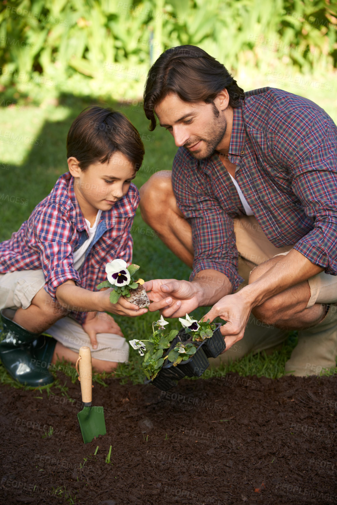 Buy stock photo Dad, son and garden in backyard by soil to plant flowers, teach and show to implant in dirt for floral bed. Parent, kid and lawn in yard by nature to bond in sun, together and learn gardening