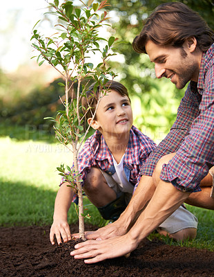 Buy stock photo Shot of a little boy and his dad planting a tree in their garden