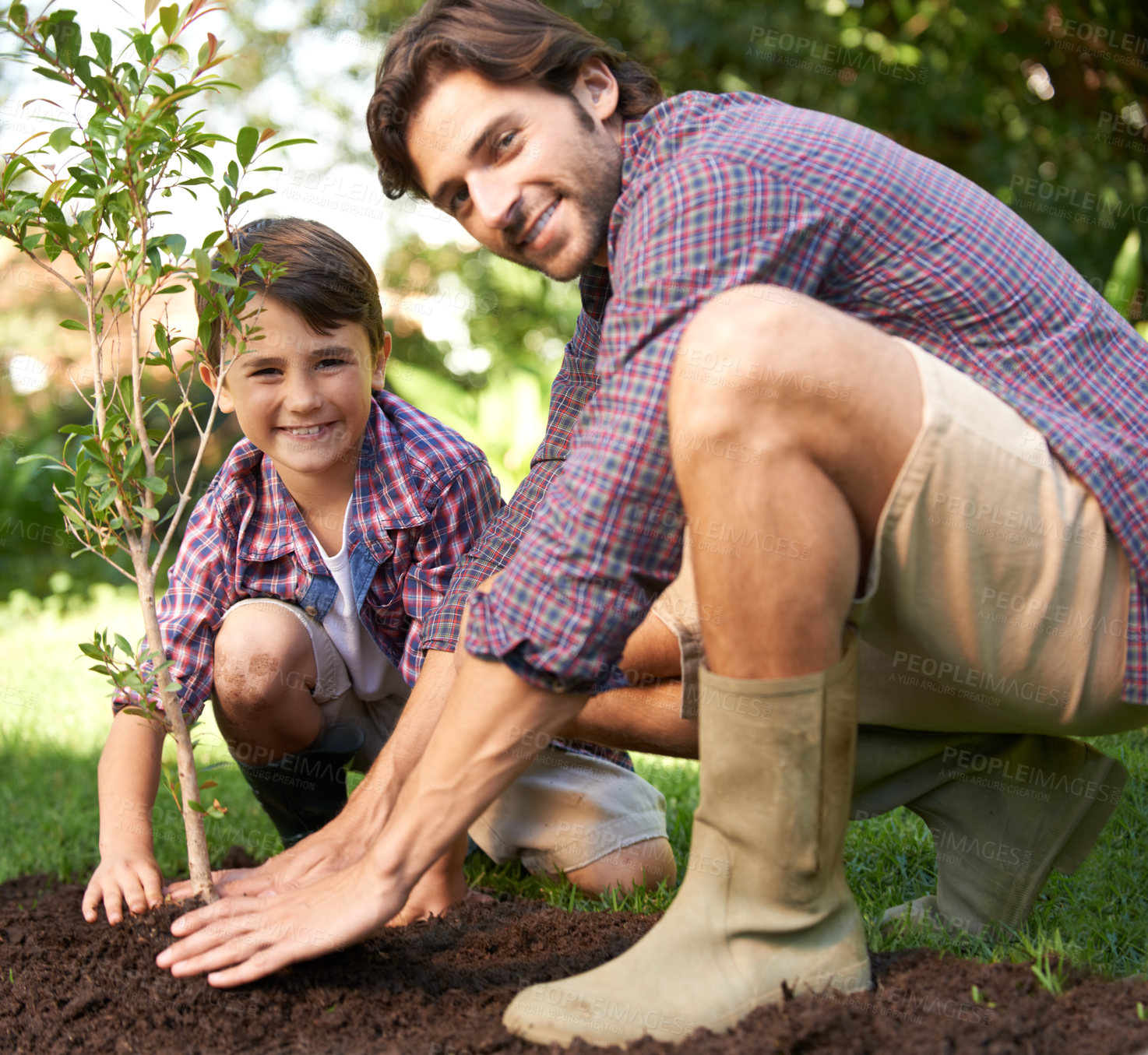 Buy stock photo Portrait, father and child planting a tree together for sustainability, gardening and ecology. Happy, family and a little boy helping dad plant trees in the garden for landscaping, hobby and bonding