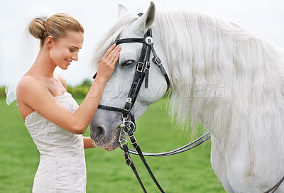 Buy stock photo Bride, field and horse with face, happiness and smile for nature, connection and celebration. Woman, animal and uk countryside for wedding, love and beauty with summer, meadow and horse riding