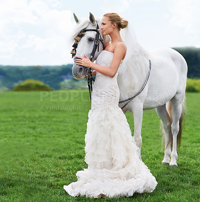 Buy stock photo Bride, horse and field with nature, event and animal for marriage, celebration and happiness. Woman, uk countryside and meadow with spring, sky and grass for wedding, love and relationship with smile