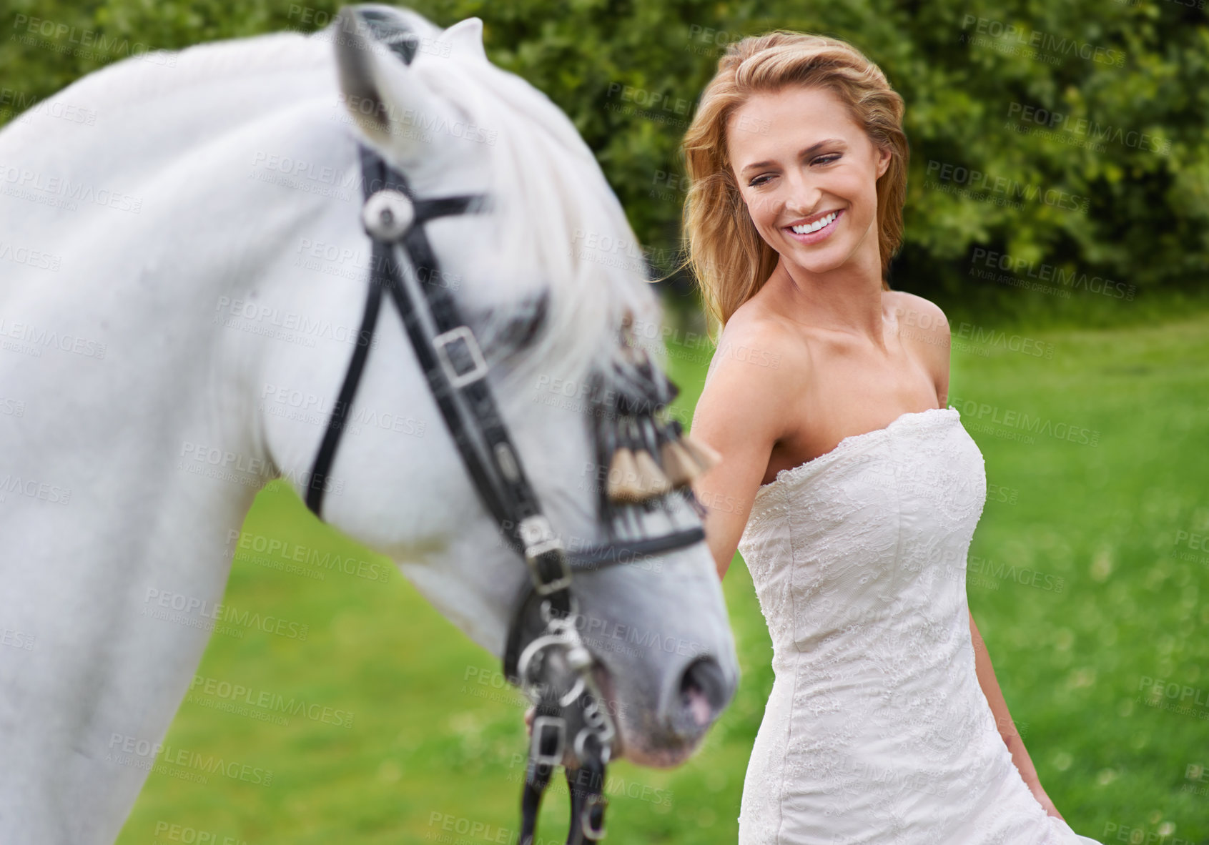 Buy stock photo Wedding, woman and happy with horse outdoor on grass for celebration, marriage or confidence in countryside. Bride, person and stallion on lawn in field with smile, dress or animal at event in nature