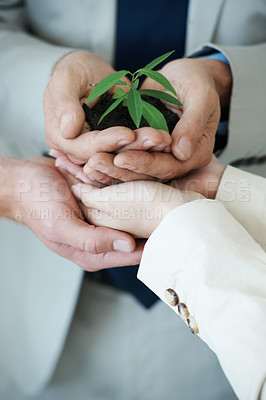 Buy stock photo Businessman, plant and nature for collaboration, sustainability and future for investment. Entrepreneur, soil and closeup for green business, development and recycling for enterprise and growth