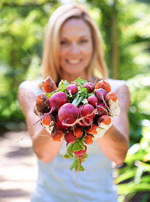 Buy stock photo A woman holding out freshly picked vegetables