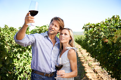 Buy stock photo Shot of a couple enjoying wine tasting in a vineyard