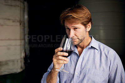 Buy stock photo Wine, smell and man with a glass in a distillery on a farm for the production or fermentation of alcohol. Cellar, industry and scent with a mature male farmer smelling a beverage for quality control