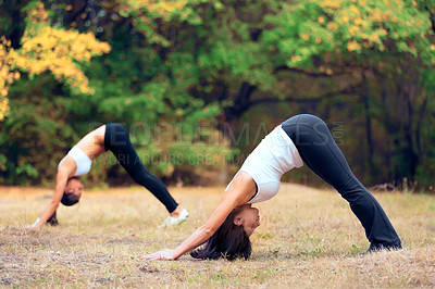 Buy stock photo Women, yoga stretching and downward dog in a outdoor park for pilates and fitness. Health, wellness and balance stretch of female friends in nature on grass feeling relax from body care and sport