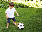 Backyard soccer